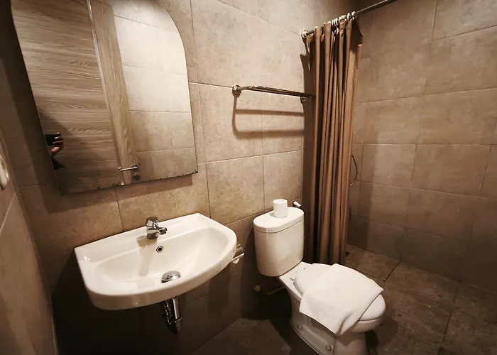 Nivasa 2*